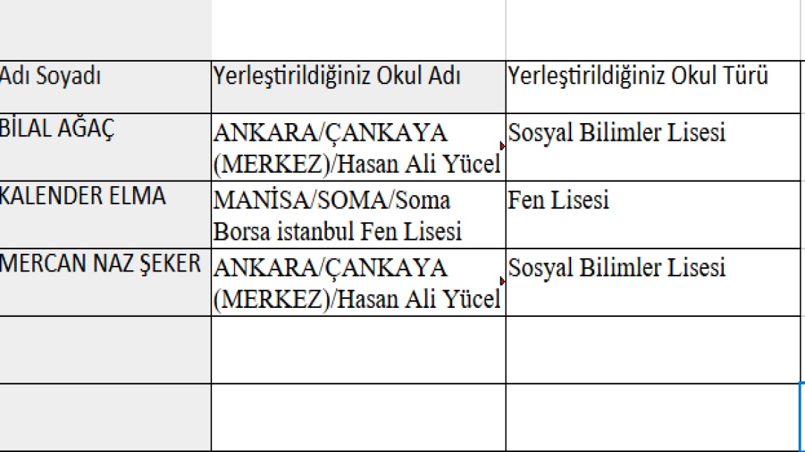 LGS BAŞARISI